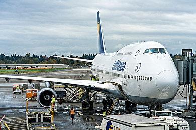 《魔咒之地》或将改编成动画 但要先看玩家反馈而定